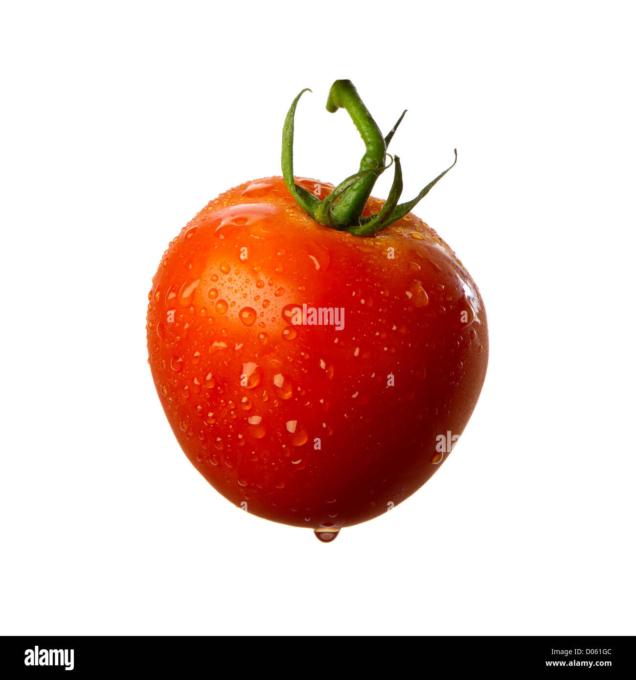 Ripe red tomato with water droplets isolated on white background Stock ...