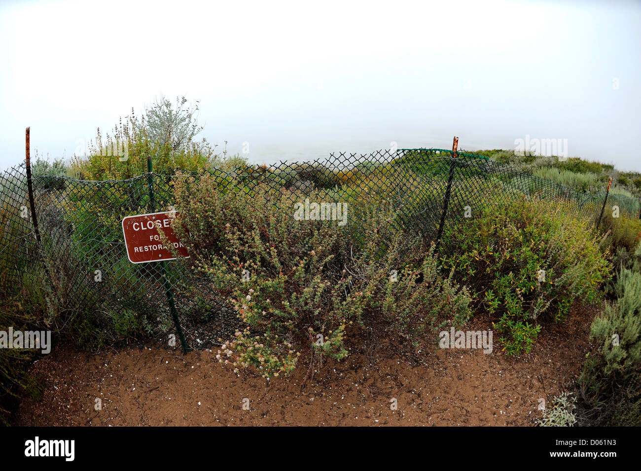 Fenced off area of Elfin forest in Morro Bay Stock Photo