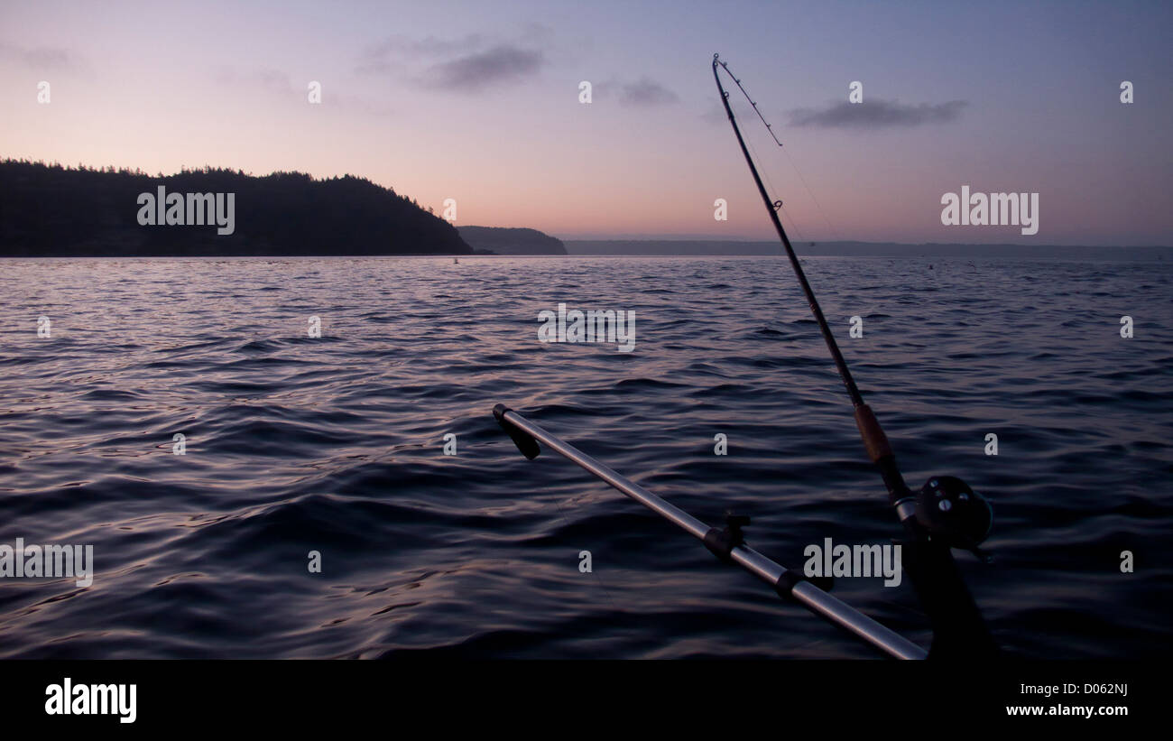 Chinook Salmon fishing Puget Sound, Washington Stock Photo Alamy