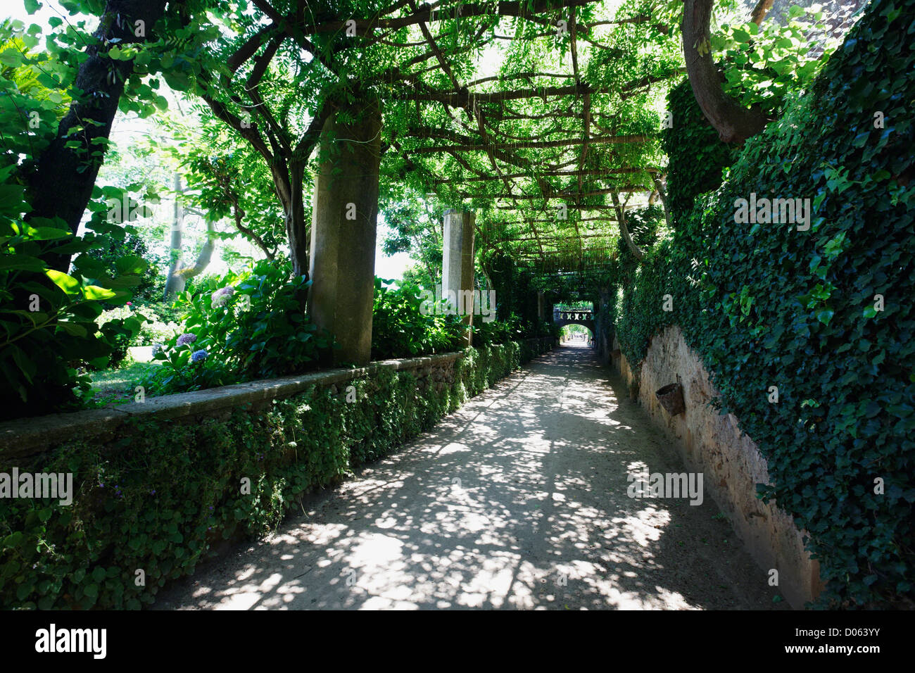 Arbor Path, Villa Cimbrone, Ravello, Campania, Italy Stock Photo