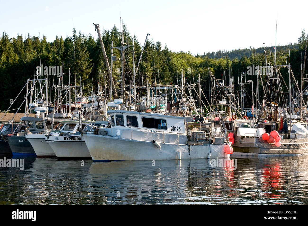 Commercial fishing boats docked in the port town of Shearwater on Denny ...