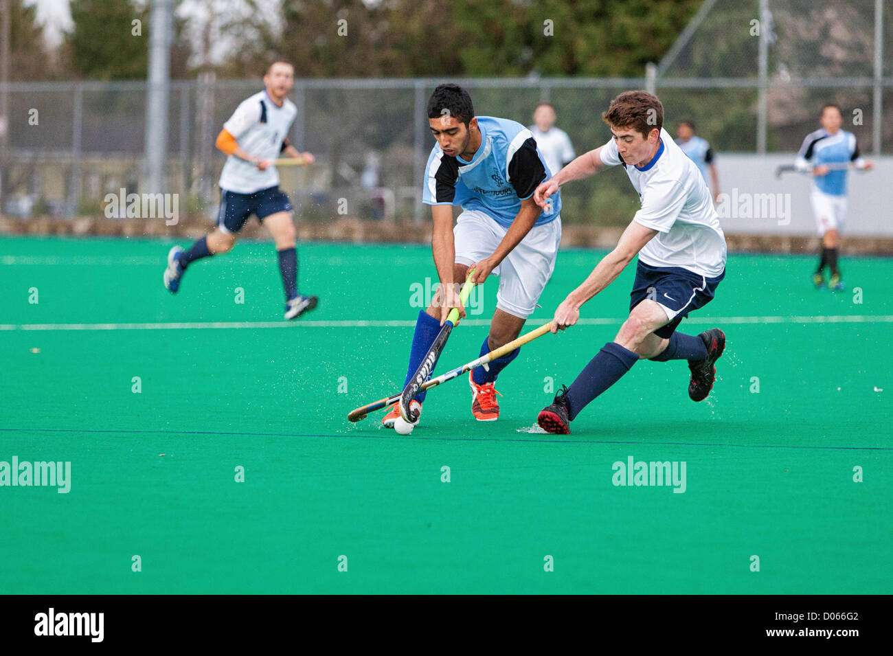 Victoria vikes hires stock photography and images Alamy