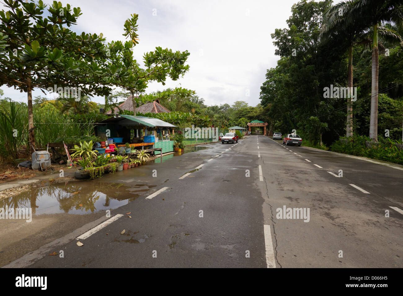 Wet road leading to entrance, Sepilok Orangutan Rehabilitation Centre, Sandakan, Sabah, Borneo Stock Photo