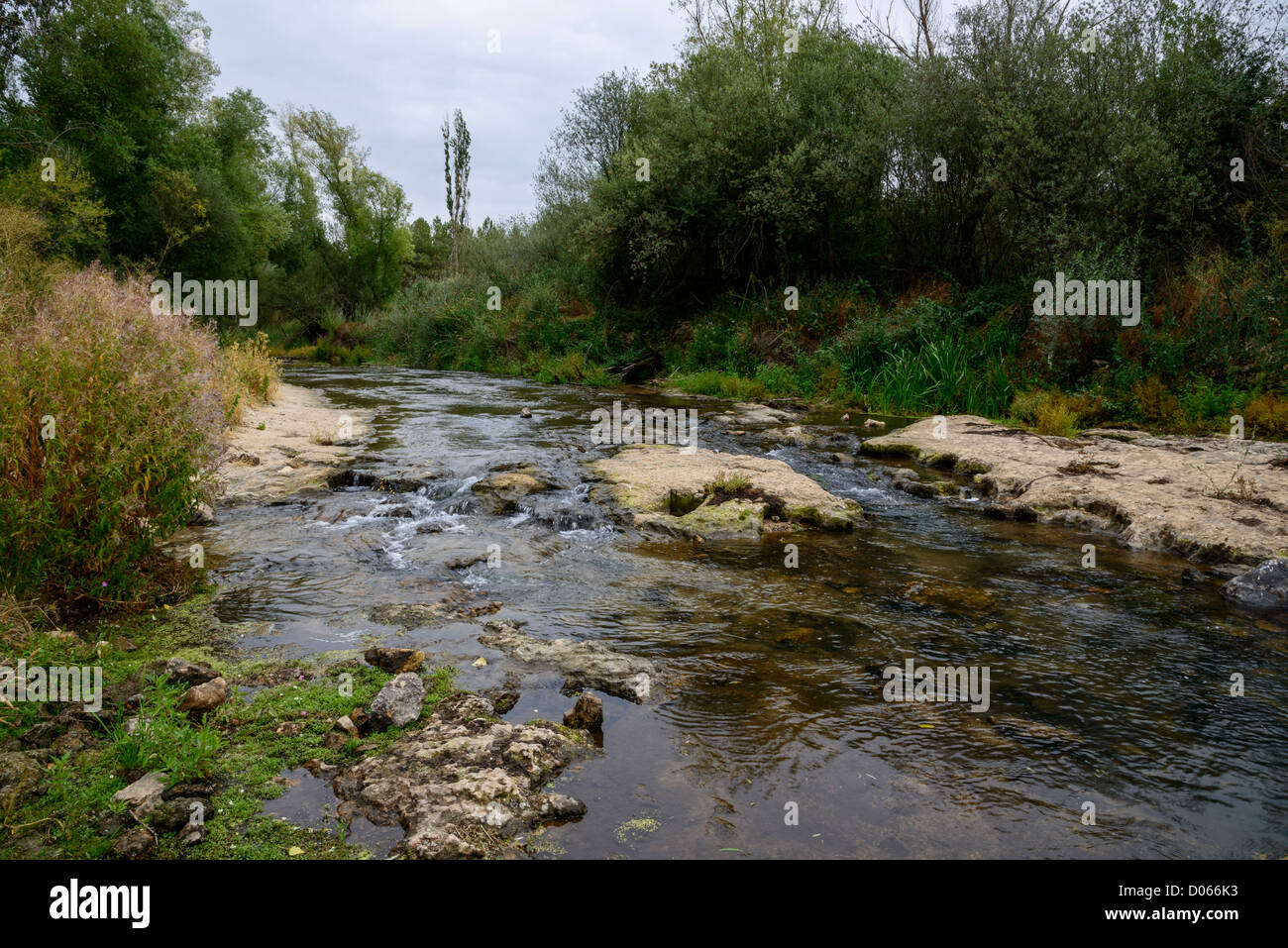 Landscape trees on river hi-res stock photography and images - Alamy