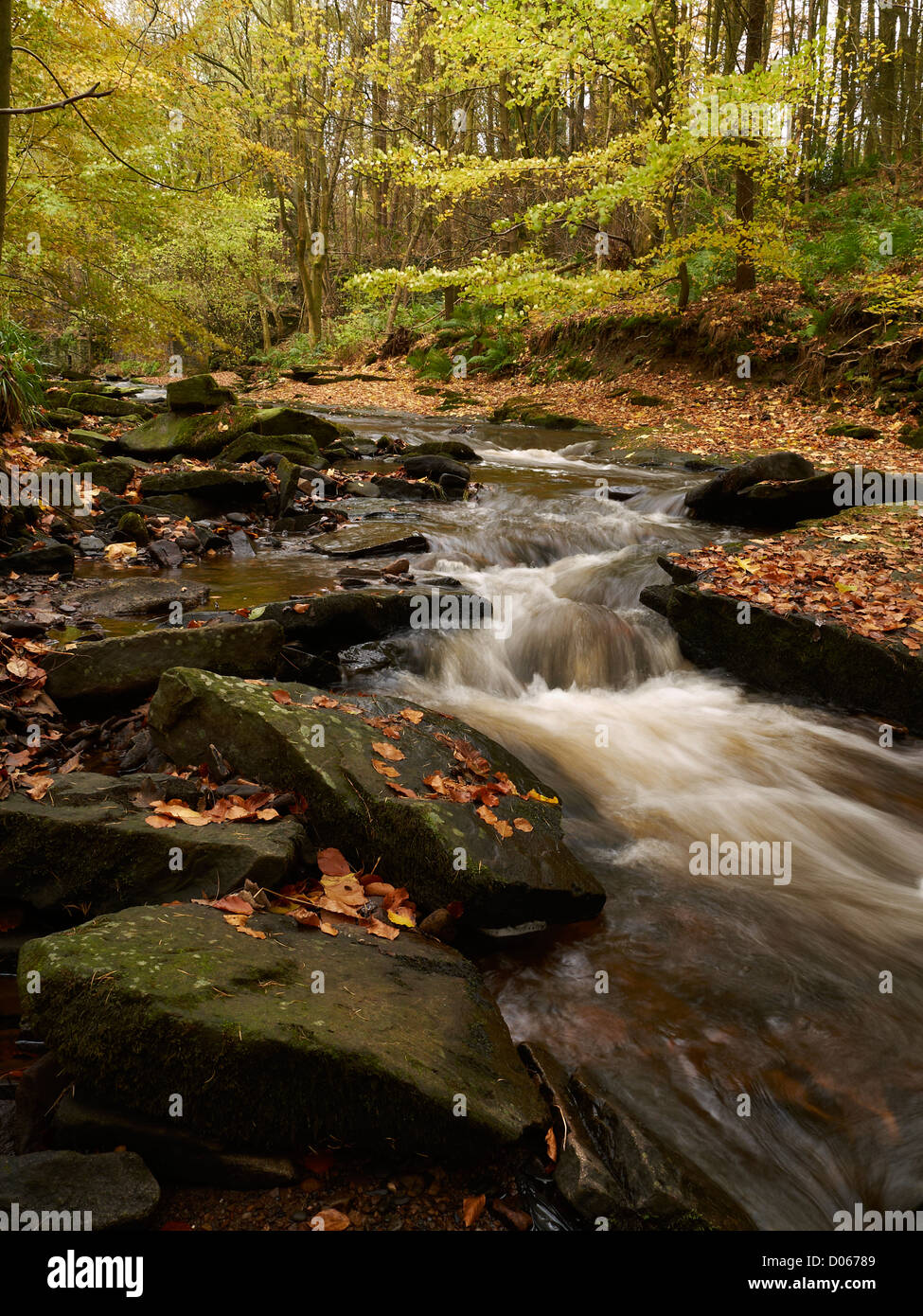 Cheshire Rivers The River Dane in the Peak District National Park Cheshire Derbyshire ...