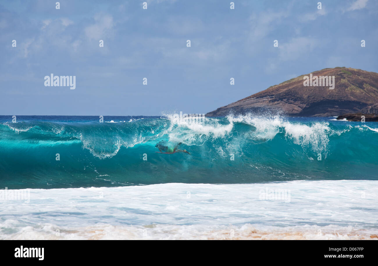 Hawaii surfing kid hi-res stock photography and images - Alamy