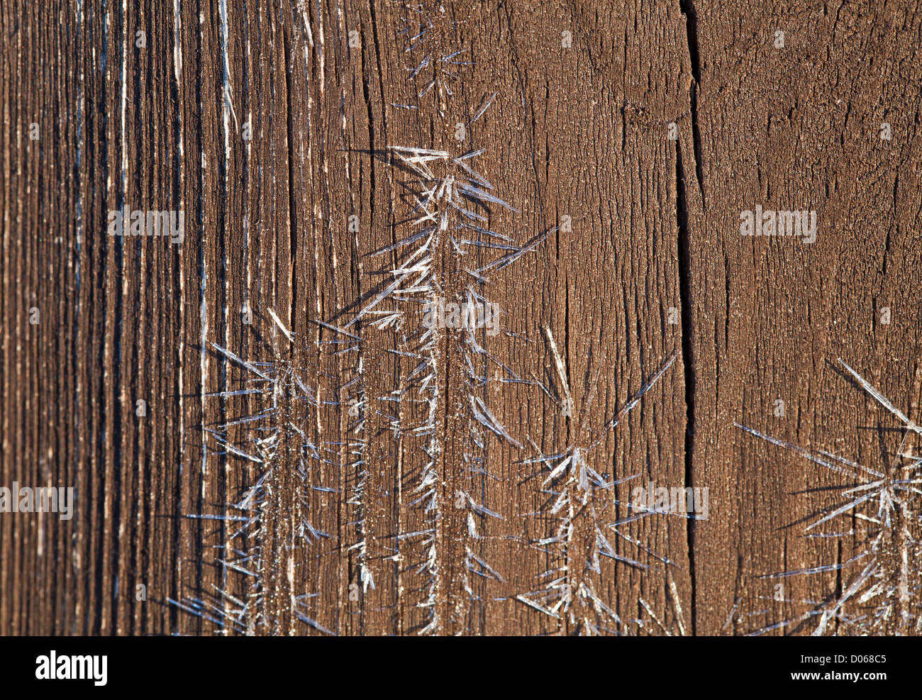 Shards of Frost on Shed Door Stock Photo