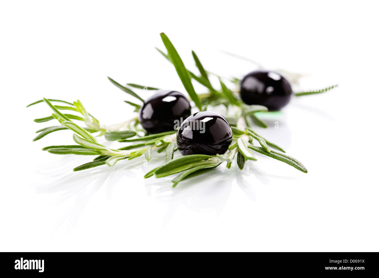 Olive branch isolated on white background Stock Photo - Alamy