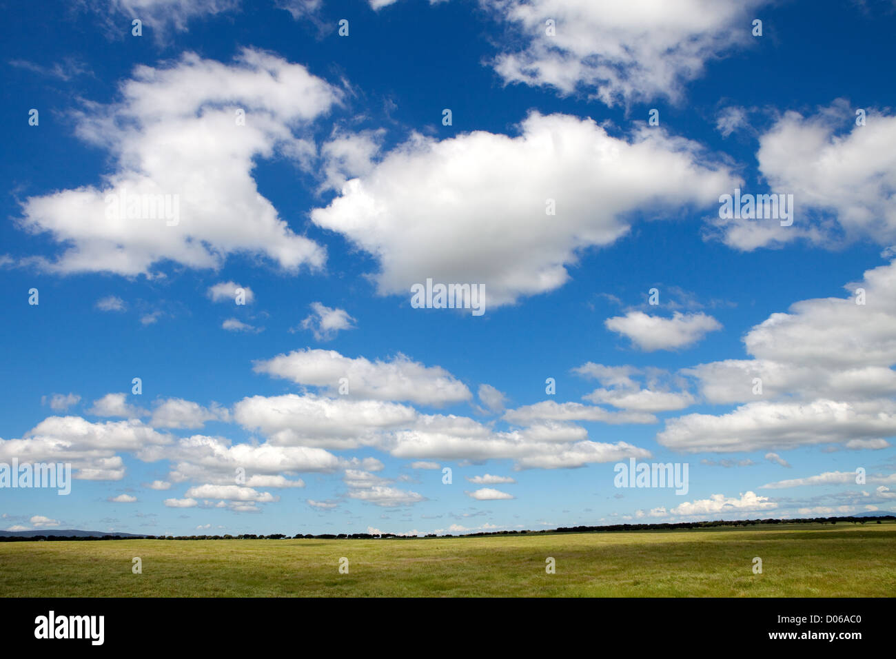 Landscape with a beautiful blue cloudy sky Stock Photo - Alamy