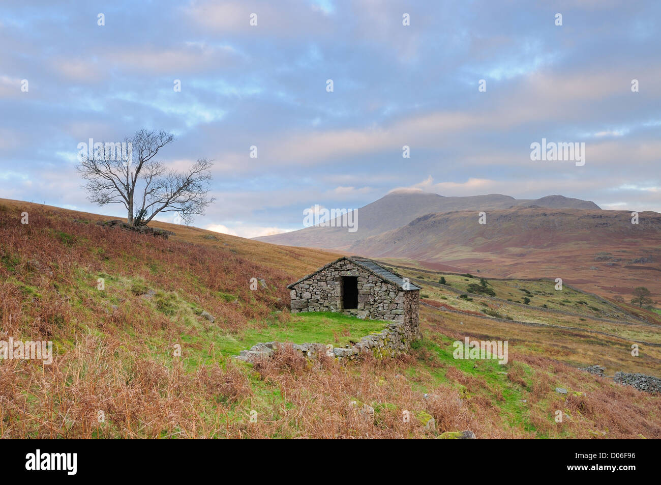 Old barn and lone tree on Eskdale Moor, with Scafell in the background, English Lake District Stock Photo