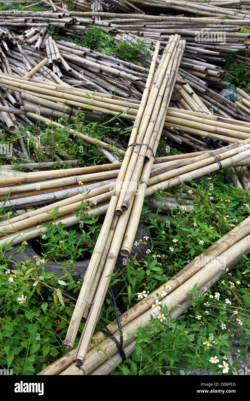 Bundle of bamboo stalks on the floor Stock Photo Alamy