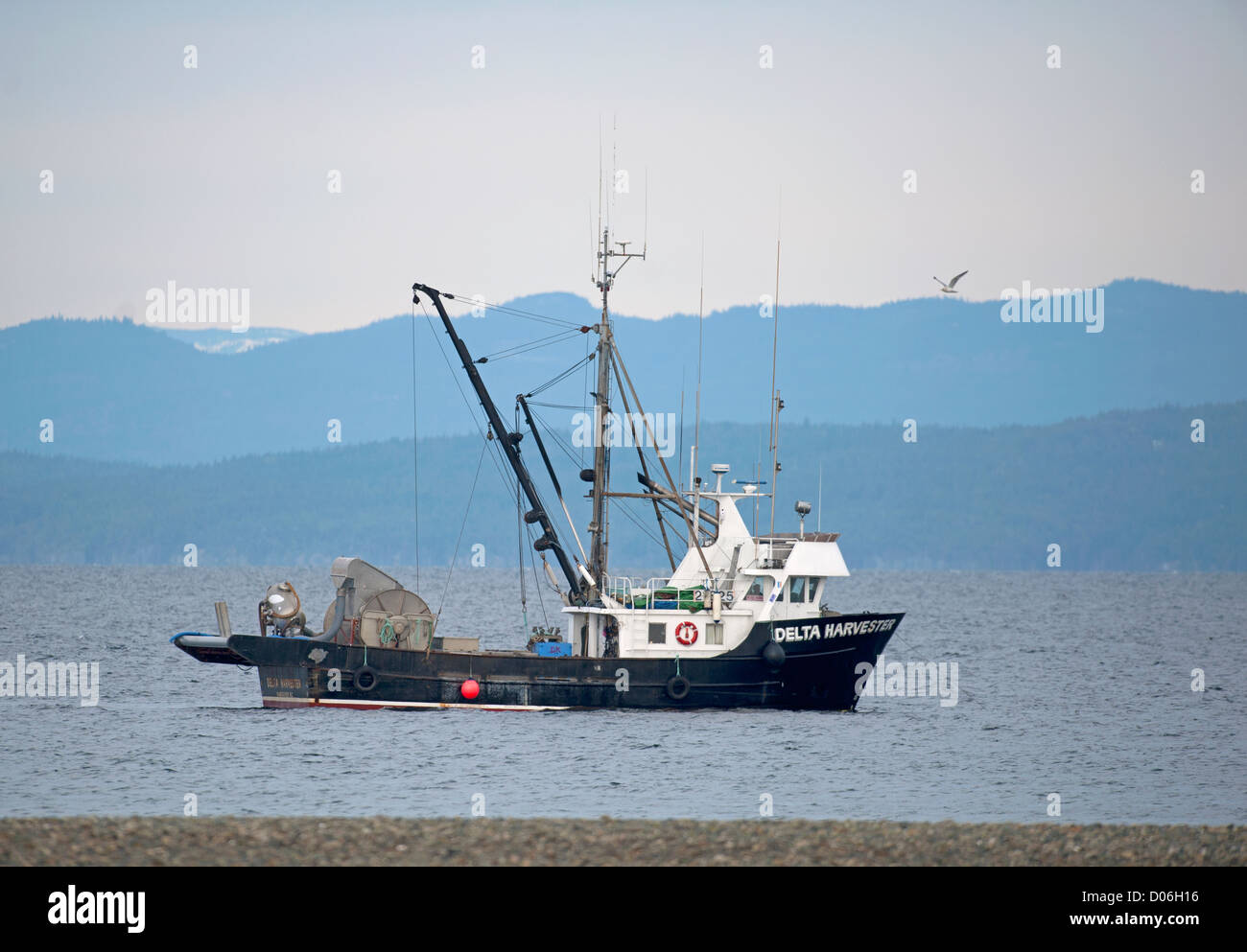 Herring fishing boat working close inshore in the Straight at