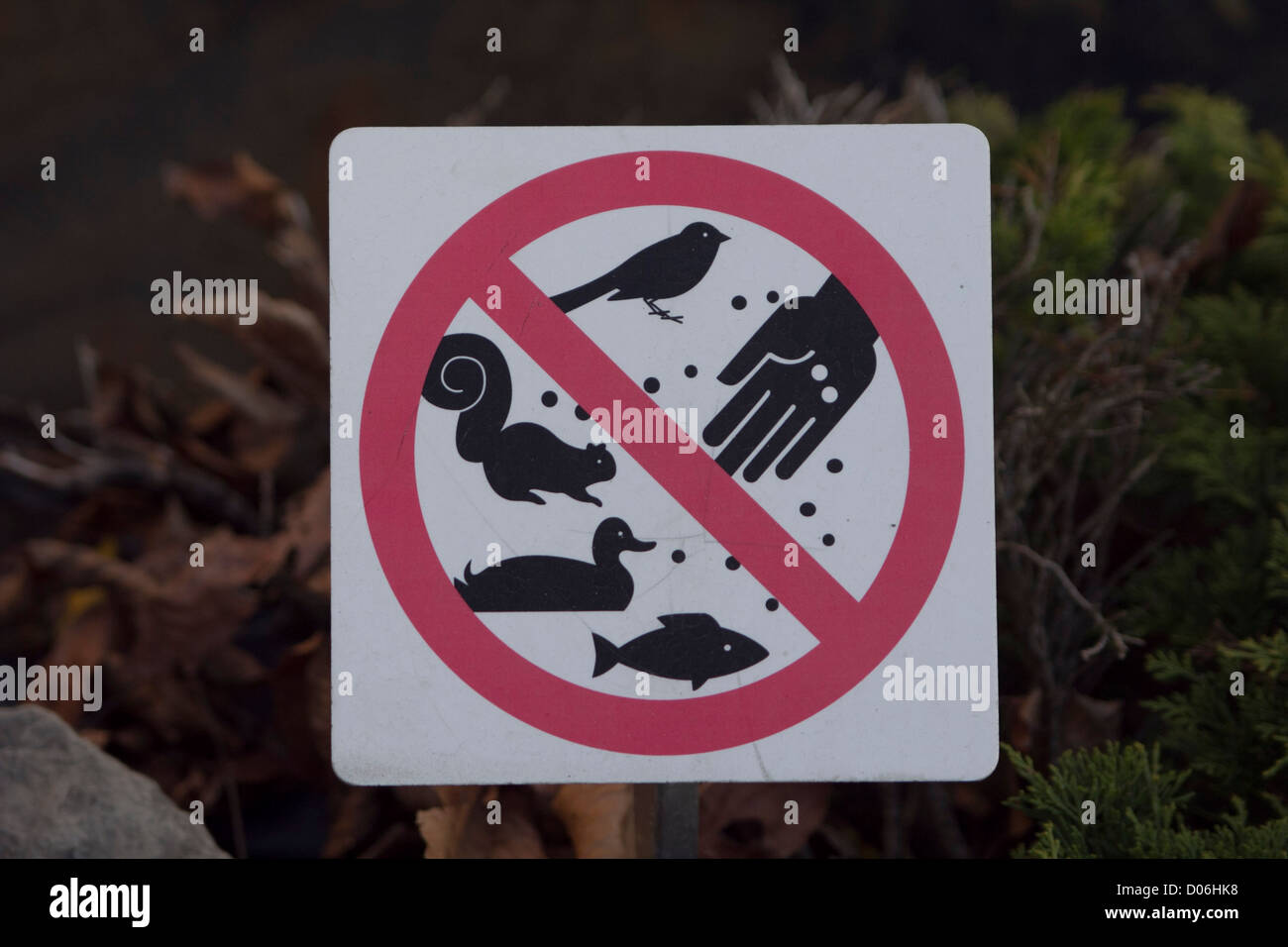 Dont Feed The Animals High Resolution Stock Photography And Images Alamy