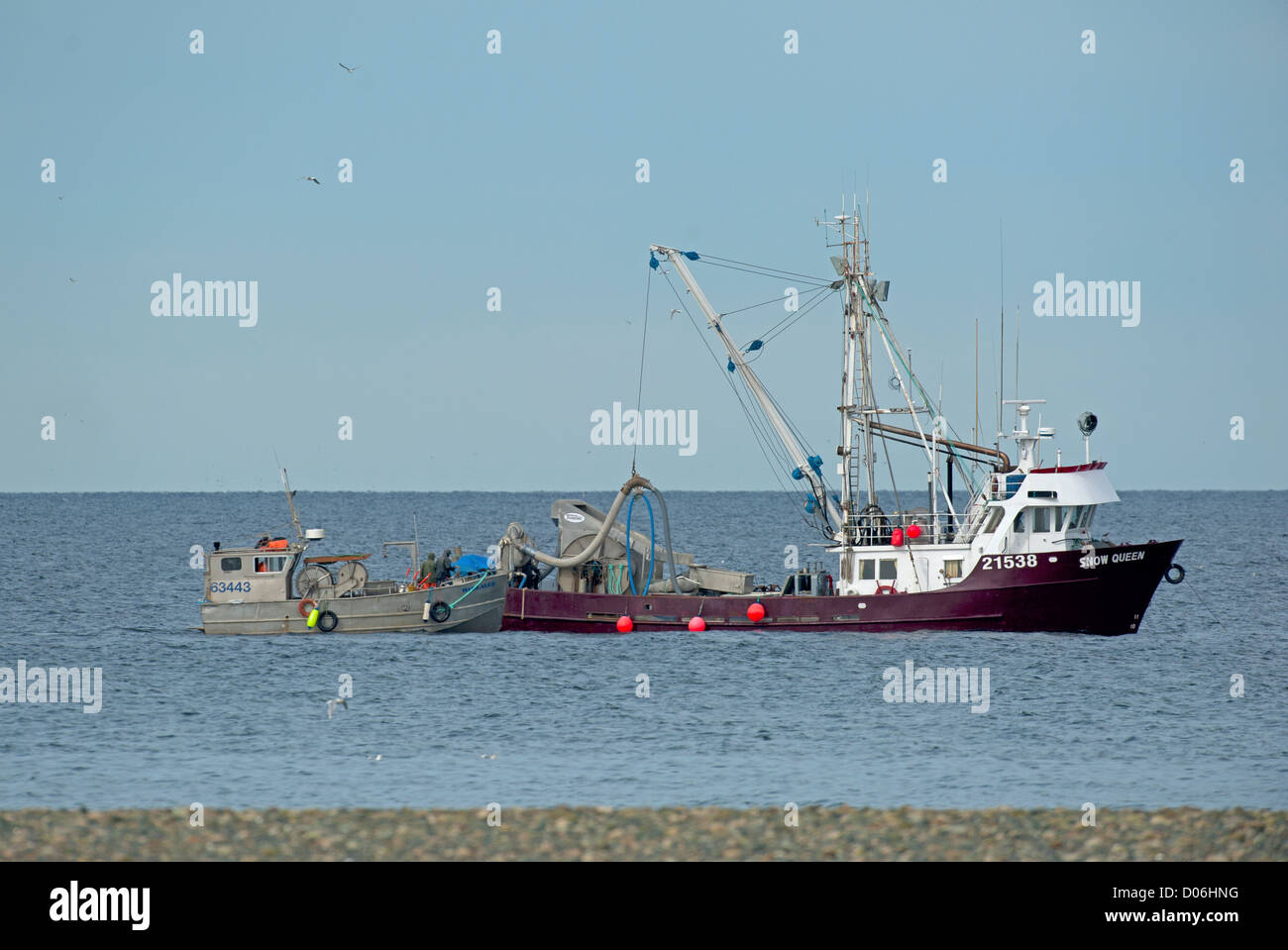 Herring fishing boat working close inshore in the Georgia Straight at Parksville, Vancouver Island, BC. Canada.  SCO 8791 Stock Photo