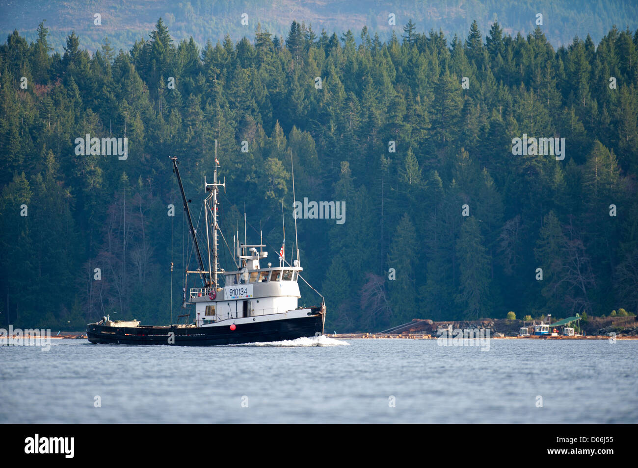 Herring fishing boat working close inshore in the Georgia Straight at ...