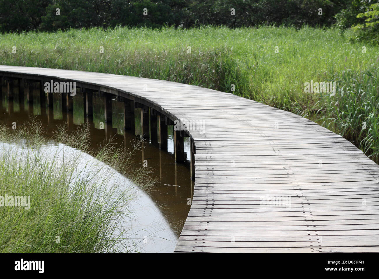 Wooden path in countryside Stock Photo - Alamy