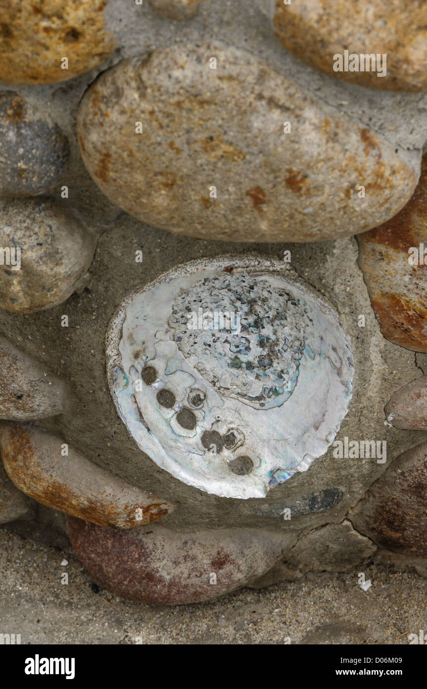 La Jolla, San Diego abalone shell set into a wall Stock Photo Alamy