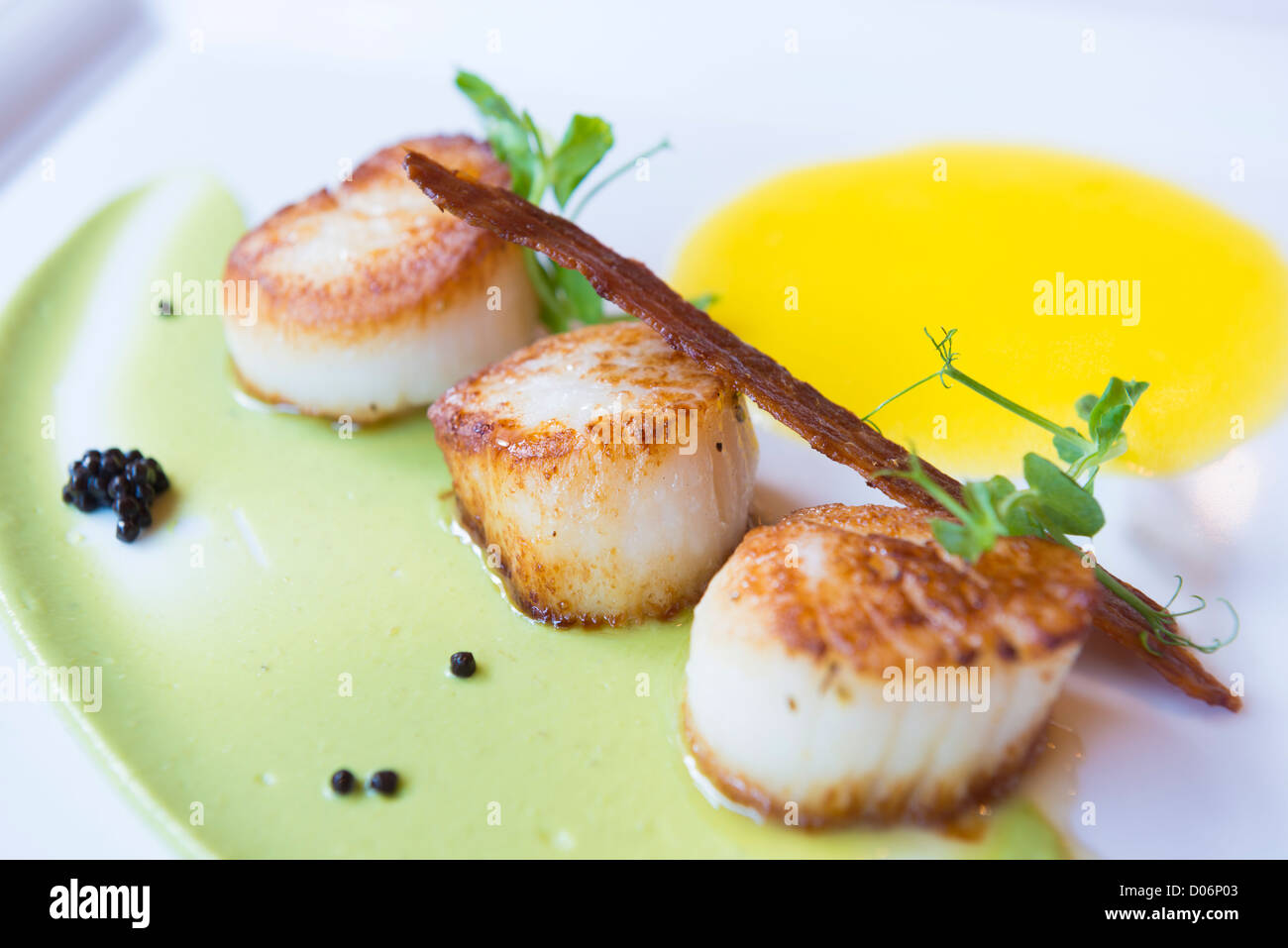 Scallops in a fine dining restaurant Stock Photo Alamy