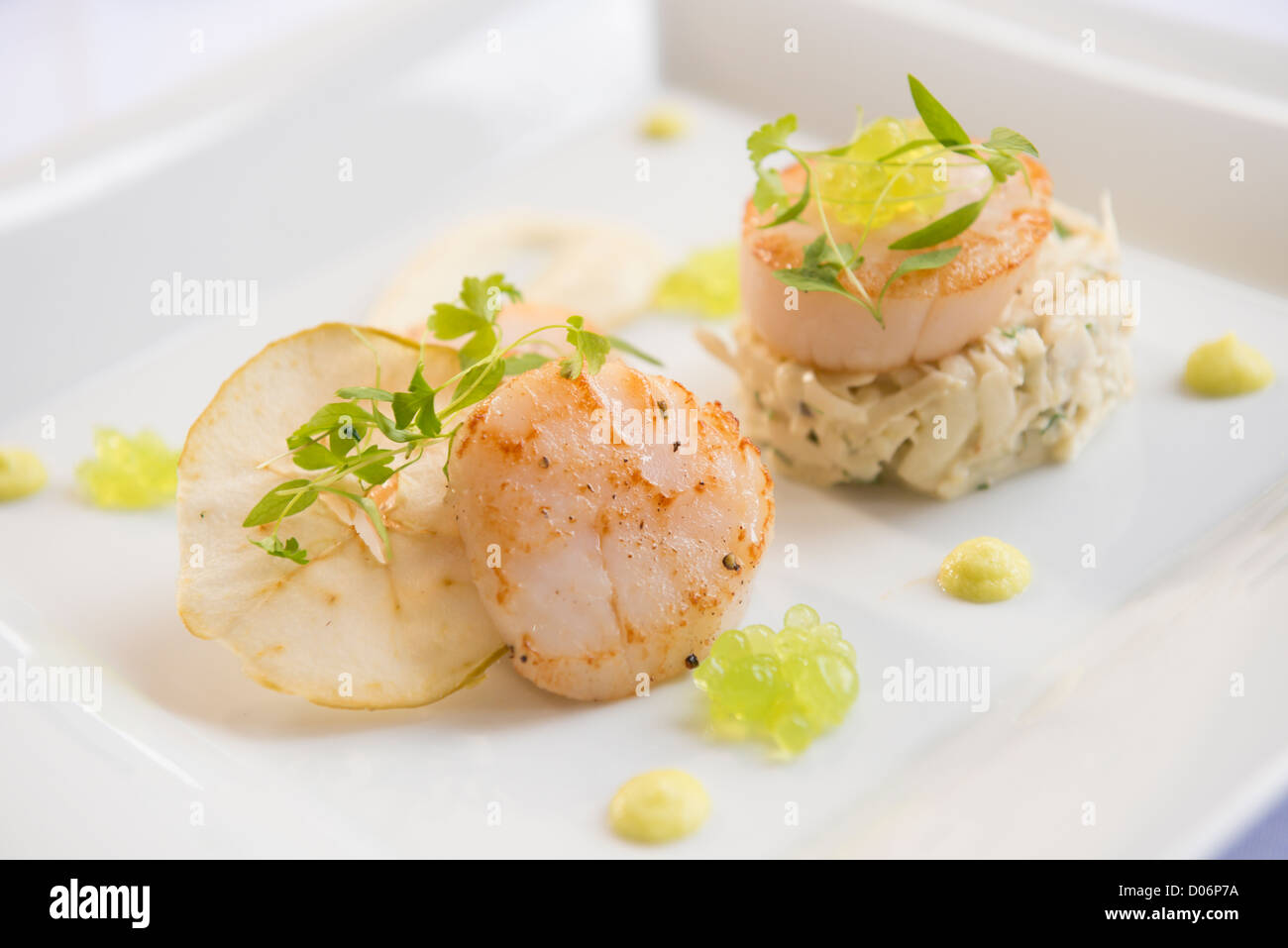 Scallops in a fine dining restaurant Stock Photo Alamy