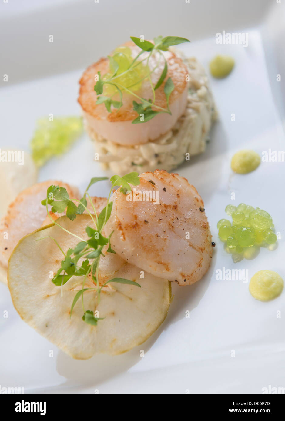Scallops in a fine dining restaurant Stock Photo Alamy