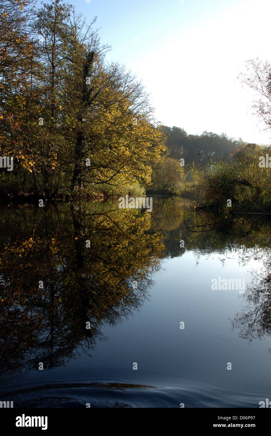 Autumn reflection in the River Bure upstream from Horstead Mill, Norfolk Stock Photo