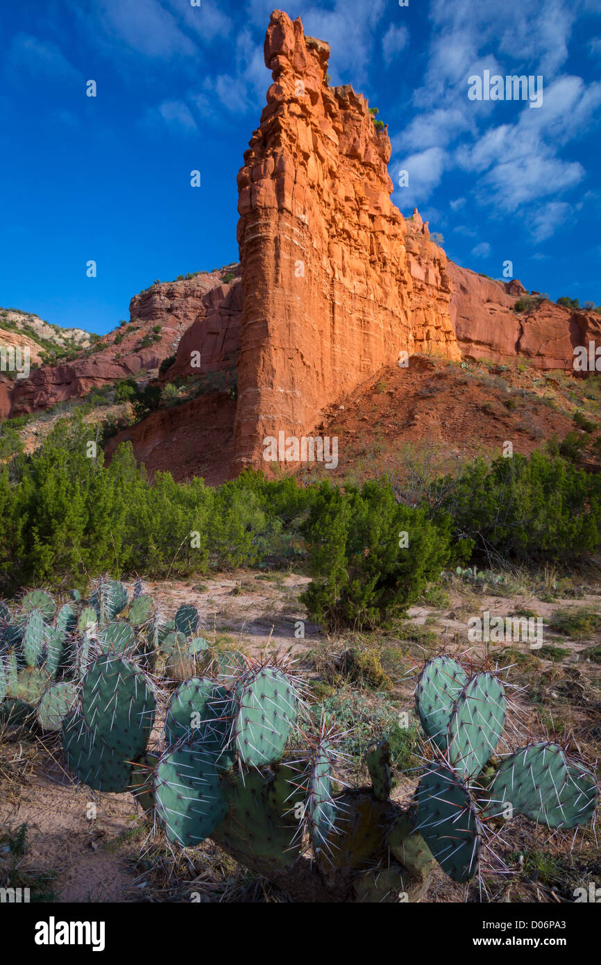 Sandstone wall and Prickly Pear cactus in Caprock Canyons State Park Stock Photo