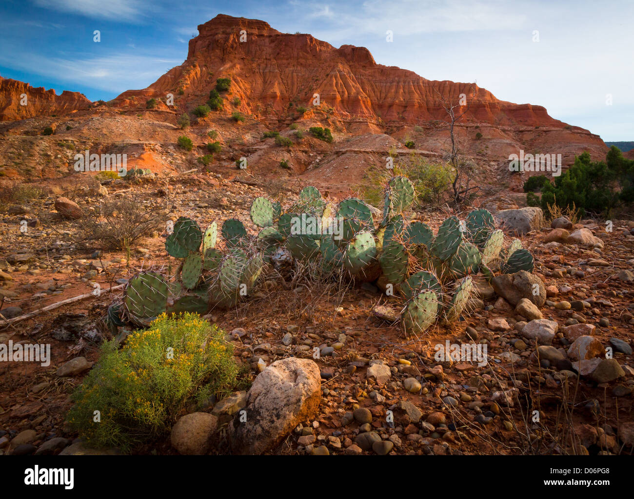 Sandstone ridge and Prickly Pear cactus in Caprock Canyons State Park