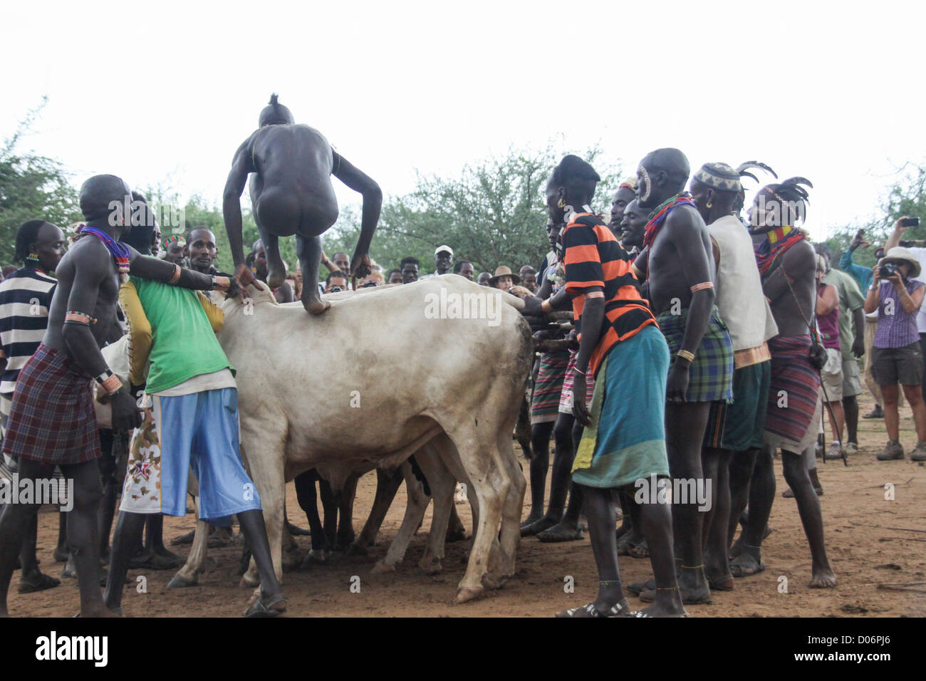Nude cow Nude Photos 89 Nude cow Nude Photos 24