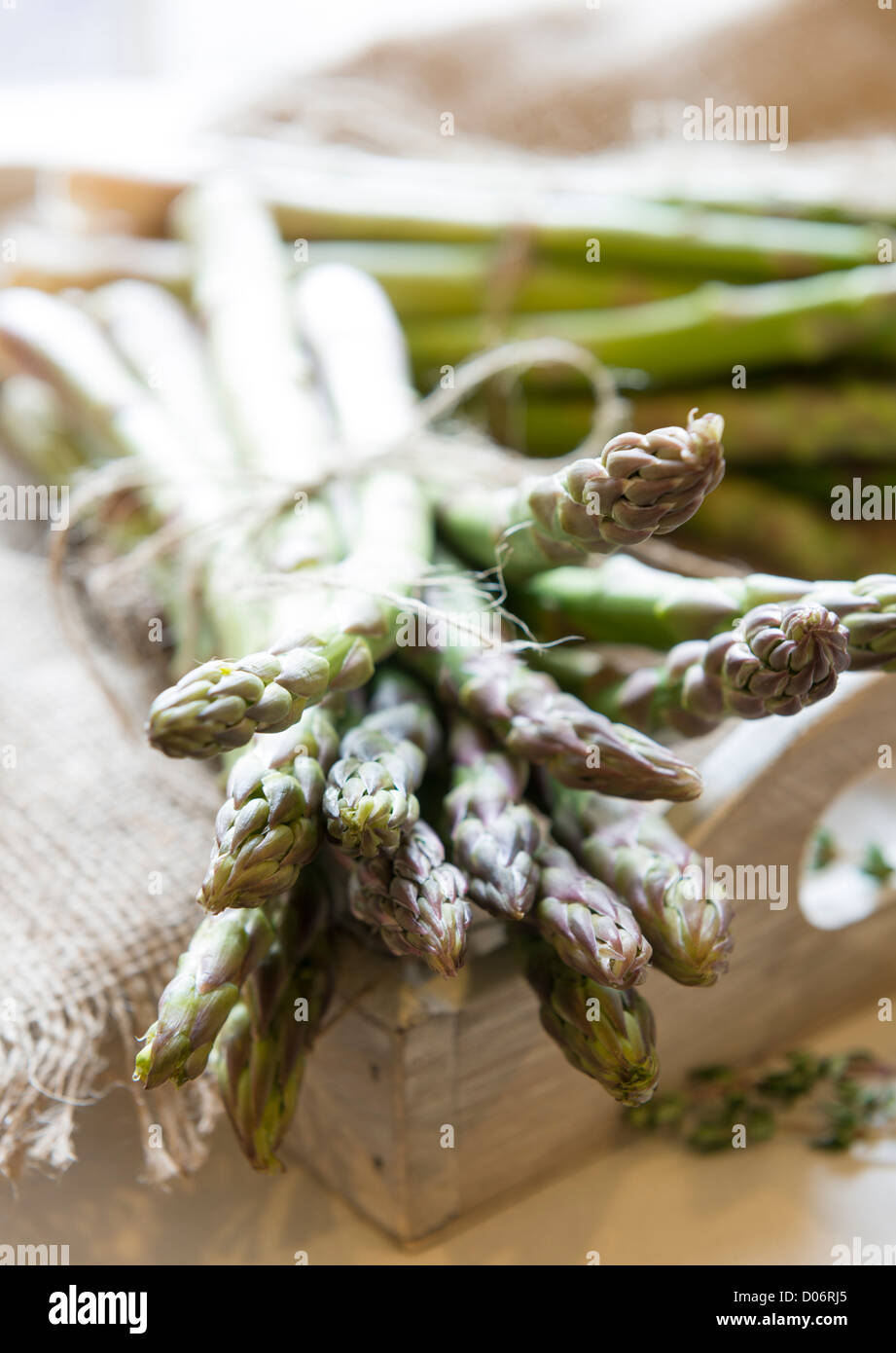 Freshly picked asparagus on a rustic tray Stock Photo
