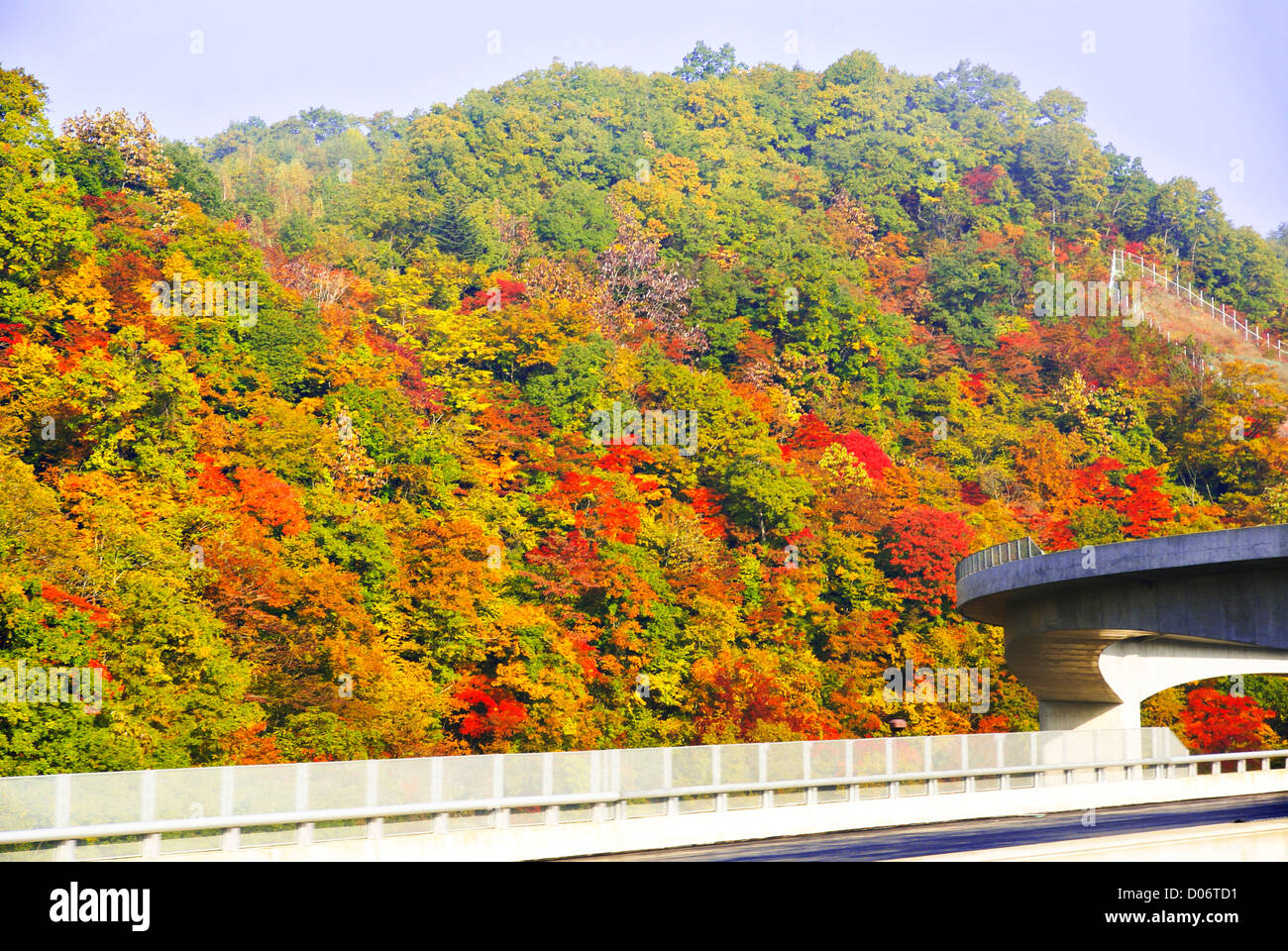 Japanese fall colours Stock Photo