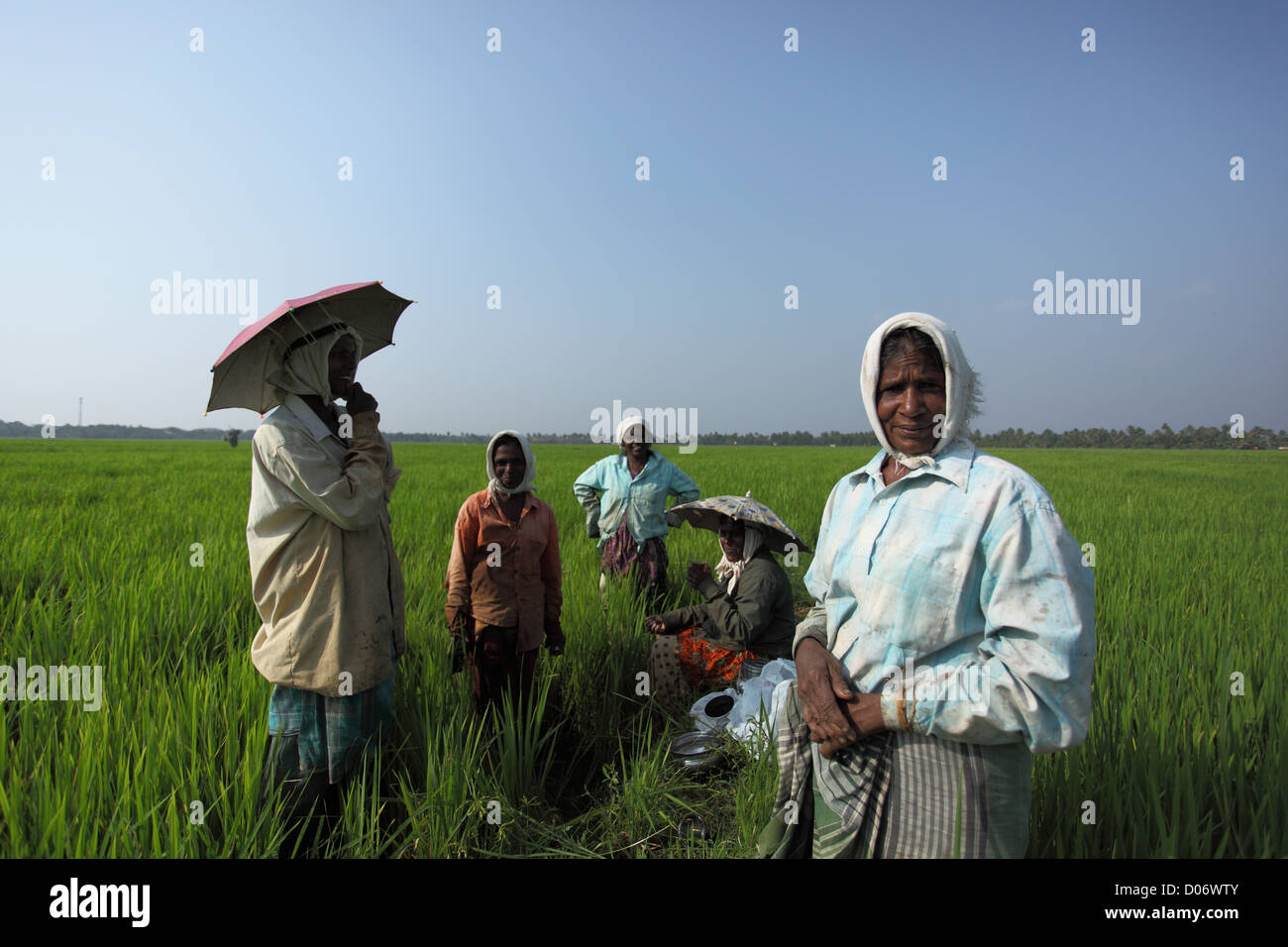 A group of Indian women at the agricultural farm in kerala. Stock Photo