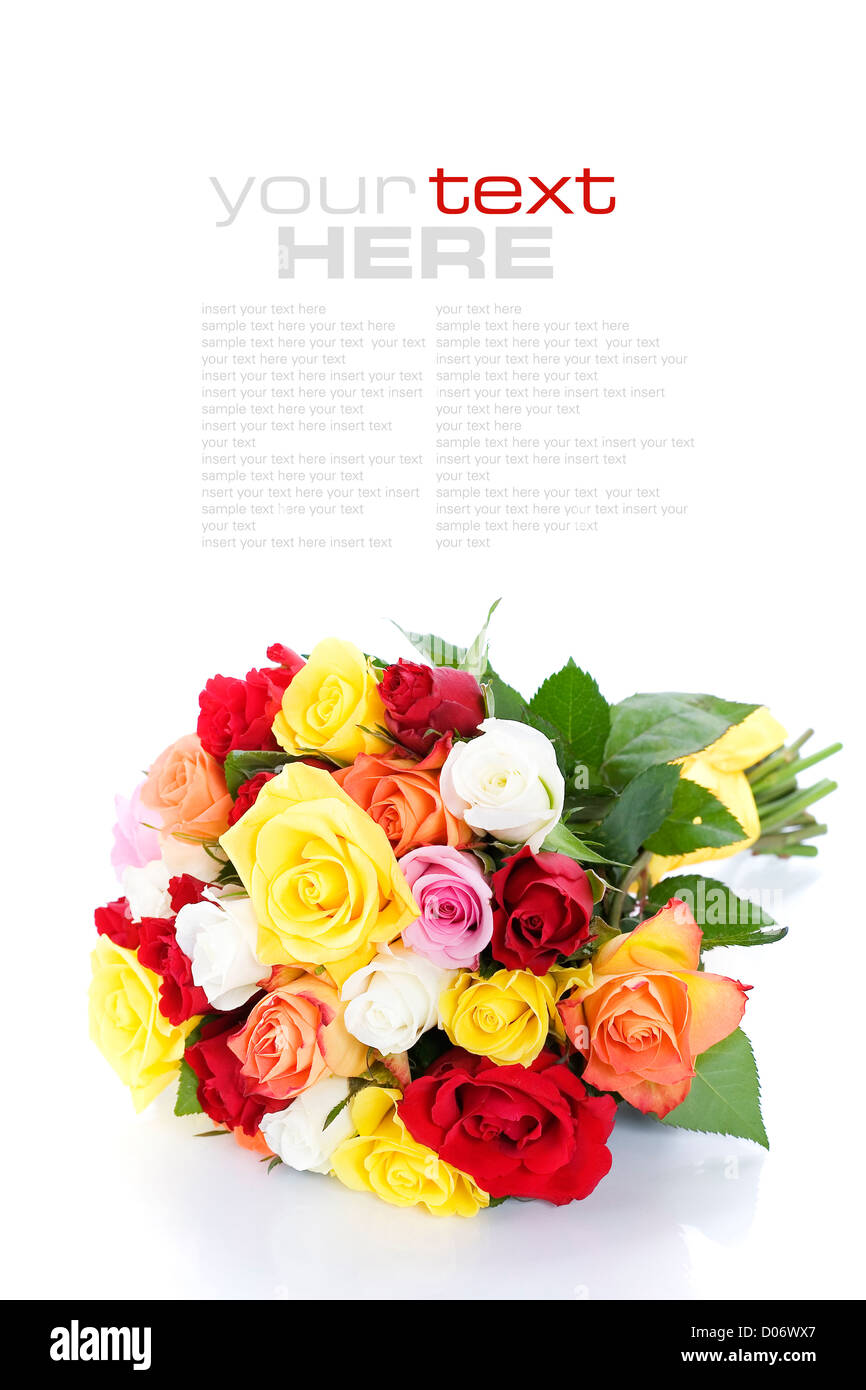Bunch of multi-colored roses over white (with sample text Stock Photo ...