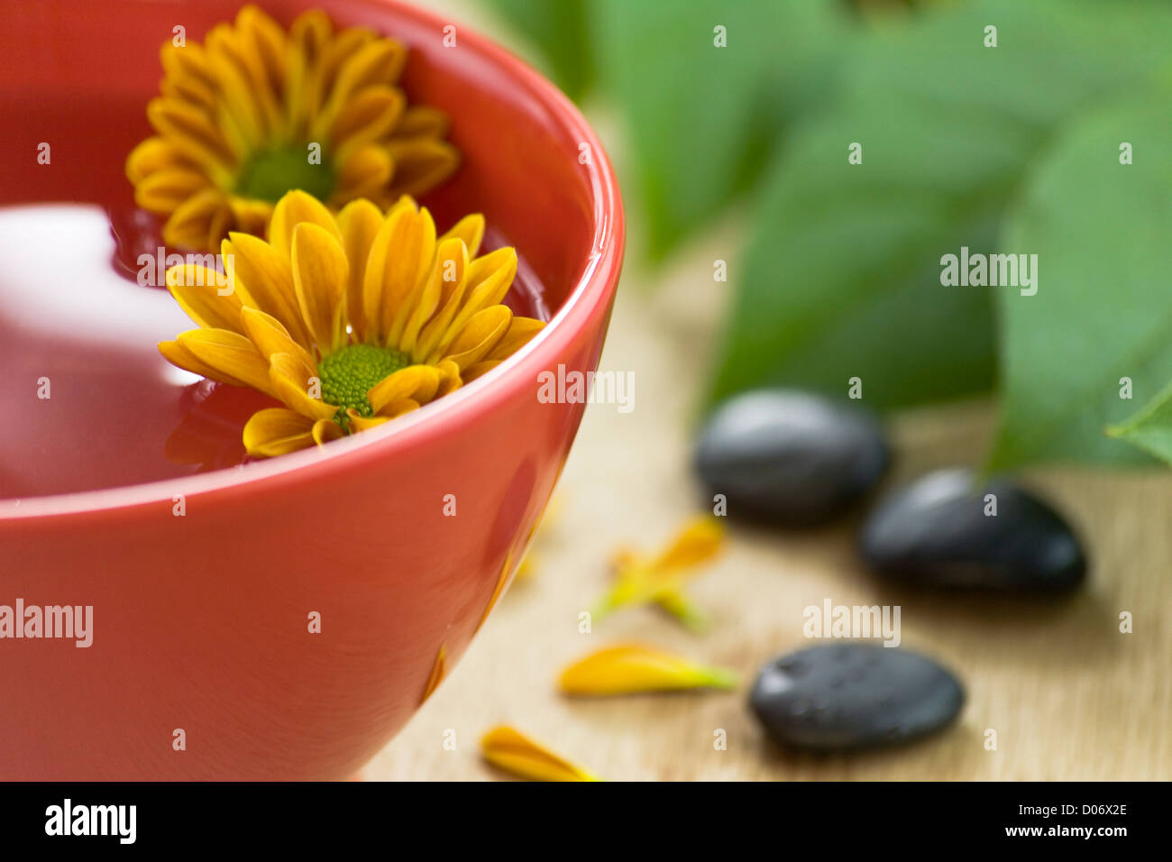 Pebbles bowl water hires stock photography and images Alamy