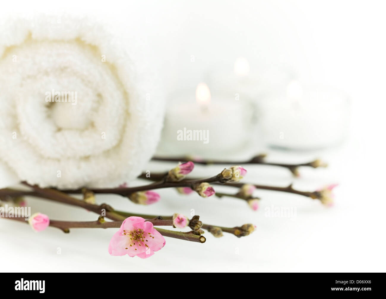 Cherry blossom atmosphere hi-res stock photography and images - Alamy