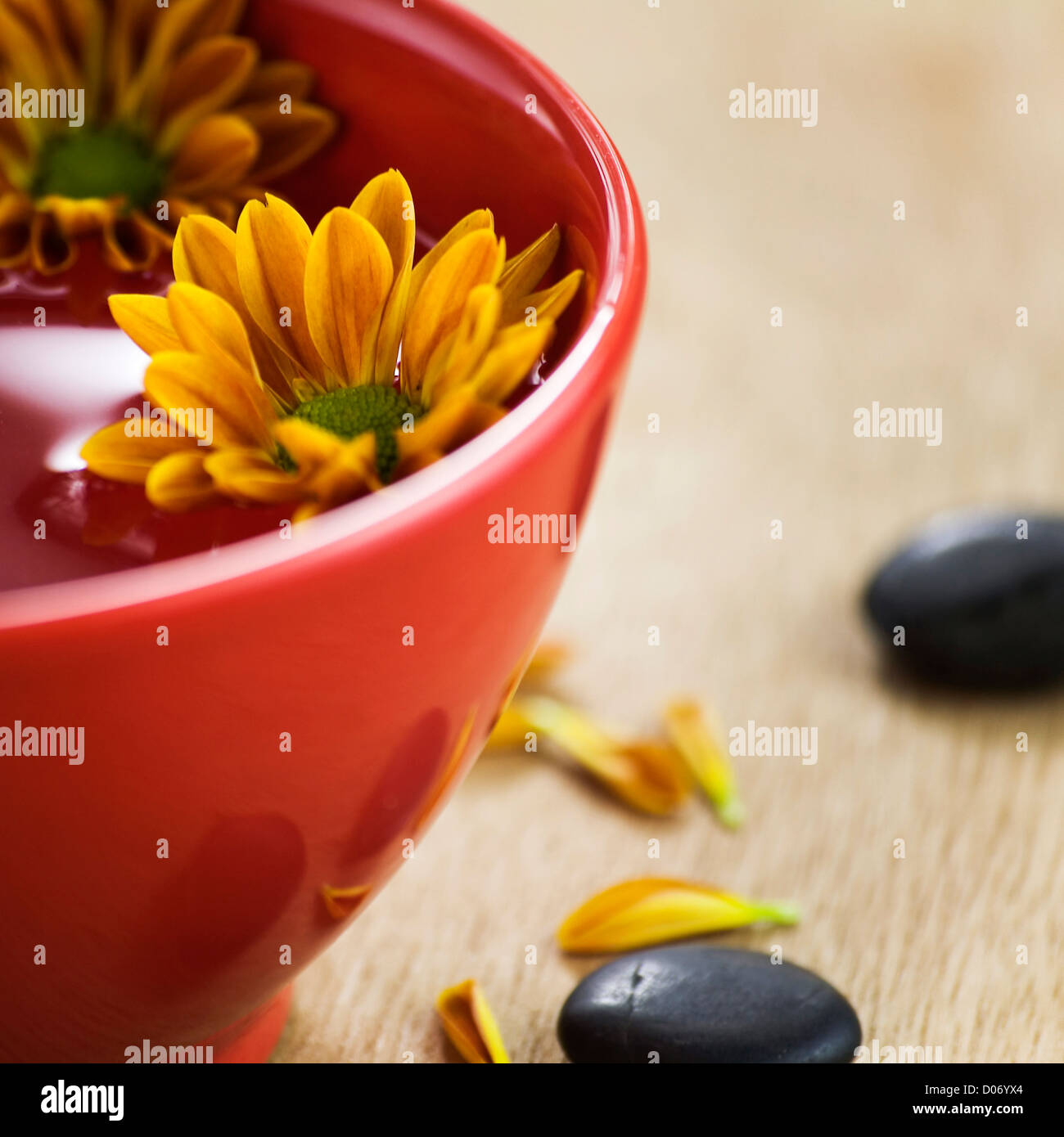 bowl of water and flowers Stock Photo Alamy