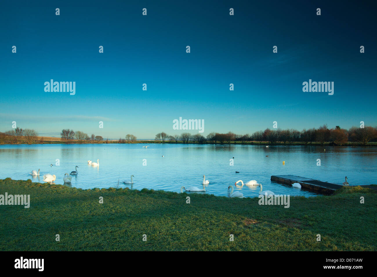 Levenhall Ash Lagoon, Levenhall Links, Musselburgh, East Lothian Stock