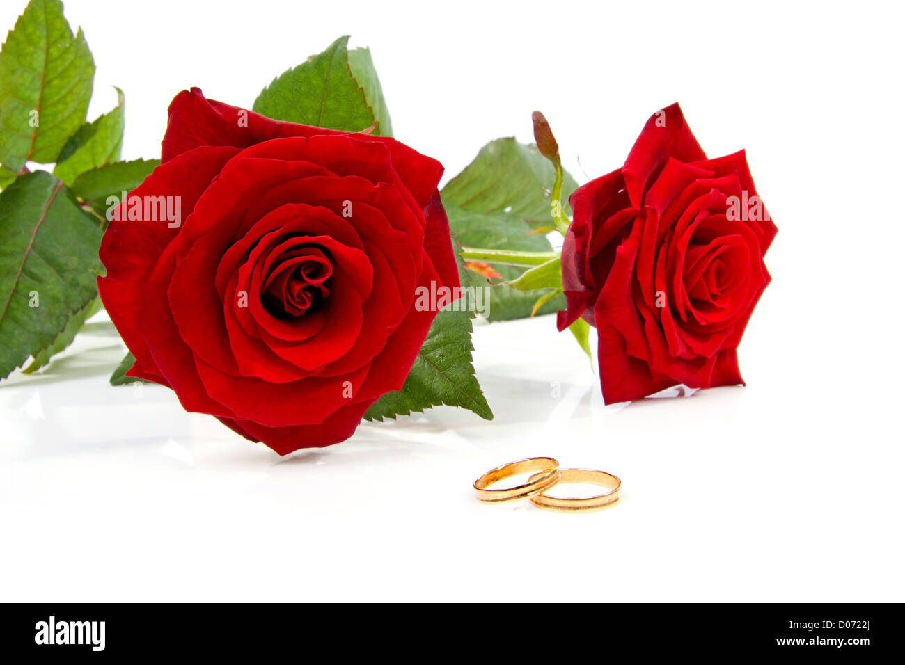 Red Roses With 2 Rings Two red roses and wedding rings over white background Stock Photo - Alamy