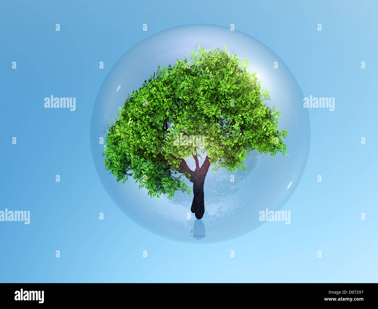 a tree in a bubble Stock Photo - Alamy
