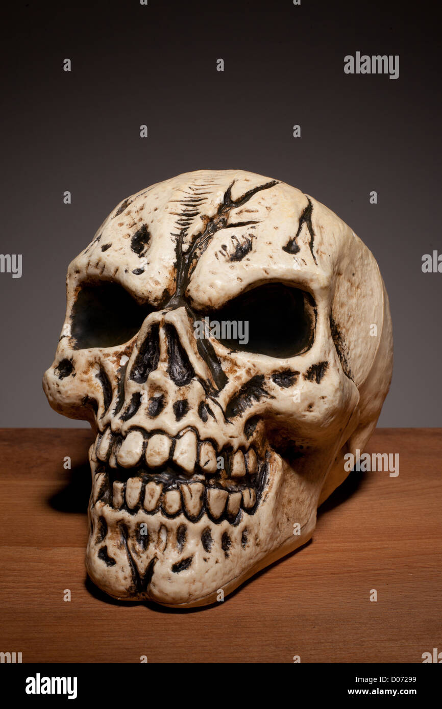 Frontal view of a copy of a human skull with dark eye sockets on white, backlit studio image for horror and halloween concepts Stock Photo