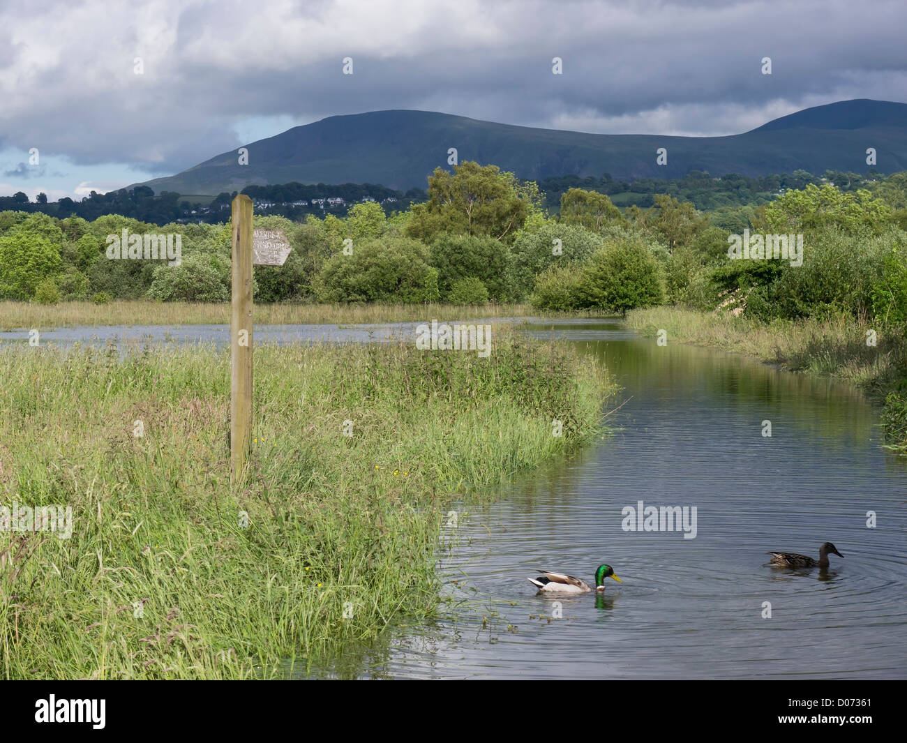 Flooding on the shores of Derwent Water, in the English Lake District. Stock Photo