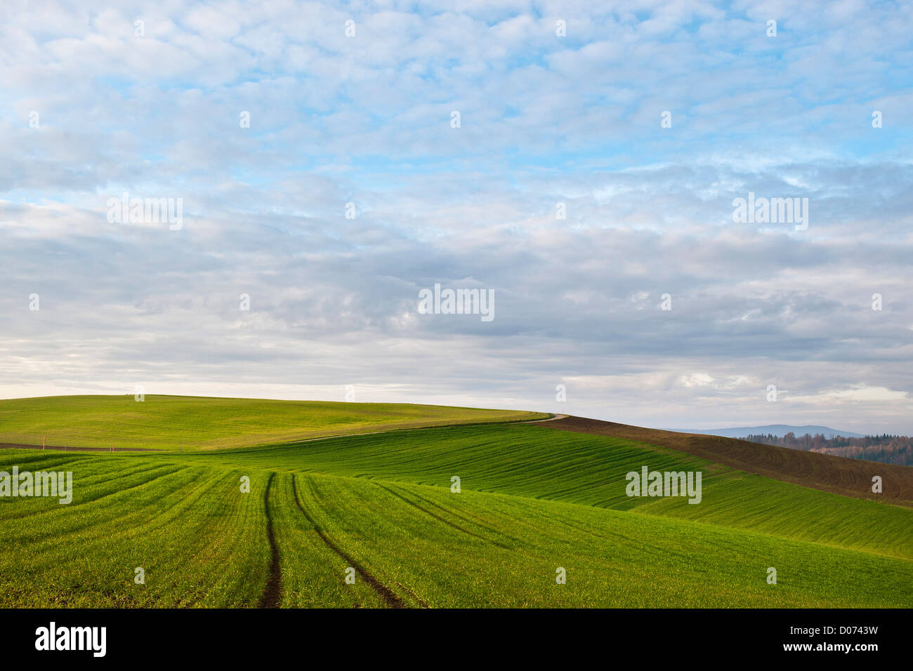Switzerland, Canton Basel Country, surrounding of Arisdorf, landscape ...