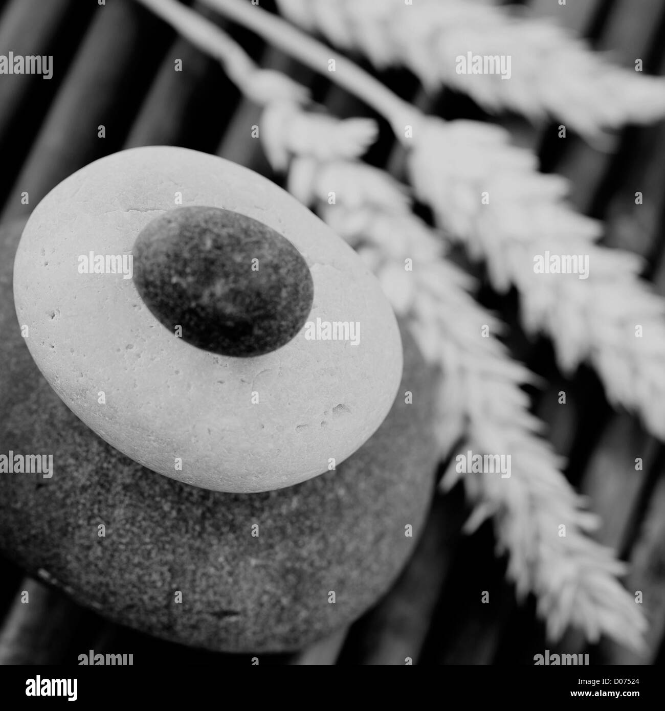 stack of balanced zen stones and wheat (black and white image) Stock Photo