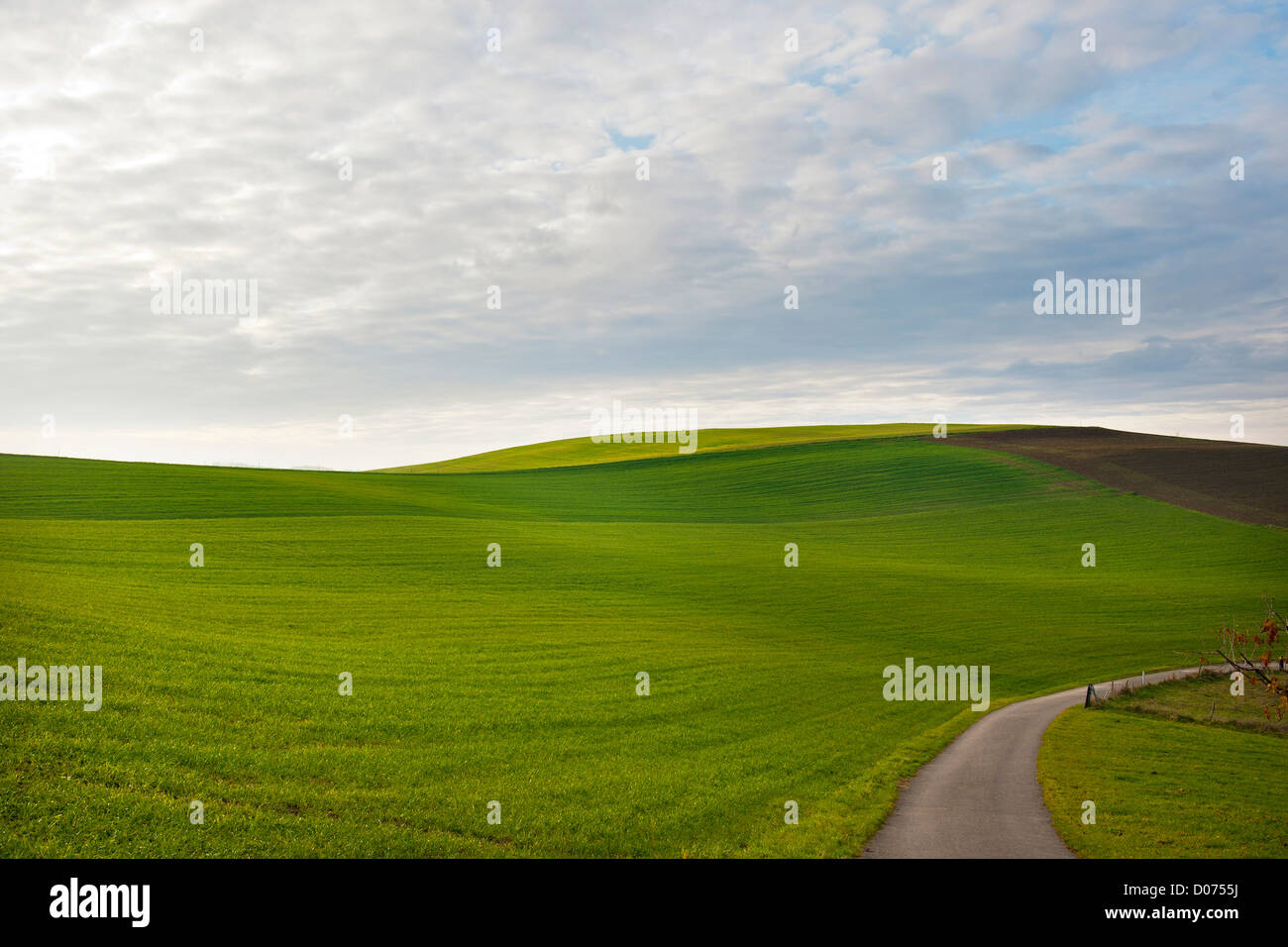 Switzerland, Canton Basel Country, surrounding of Arisdorf, landscape ...