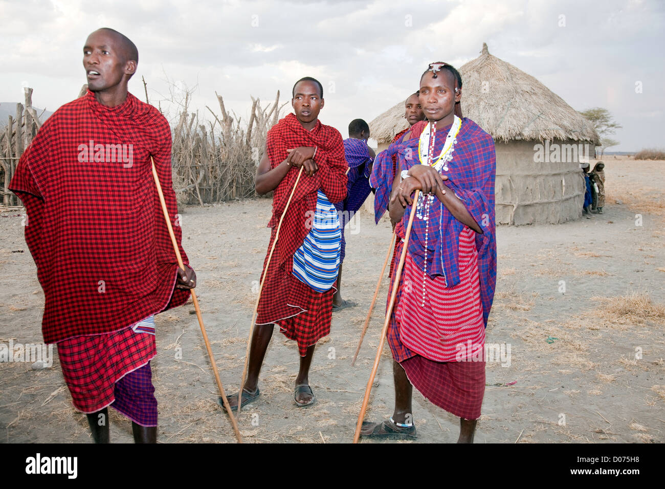 A group of Maasai Worriers at Tanzania;East Africa;Africa;Authentic Cultural Village in Olpopongi;Maasai Men Worrier Stock Photo