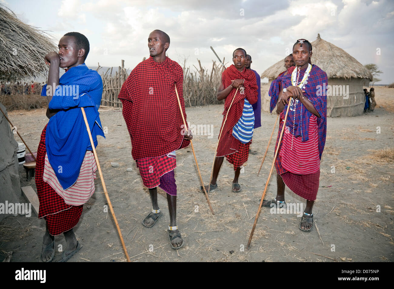 Group of five Maasai Worriers at Tanzania;East Africa;Africa;Authentic Cultural Village in Olpopongi;Maasai Men Worrier Stock Photo