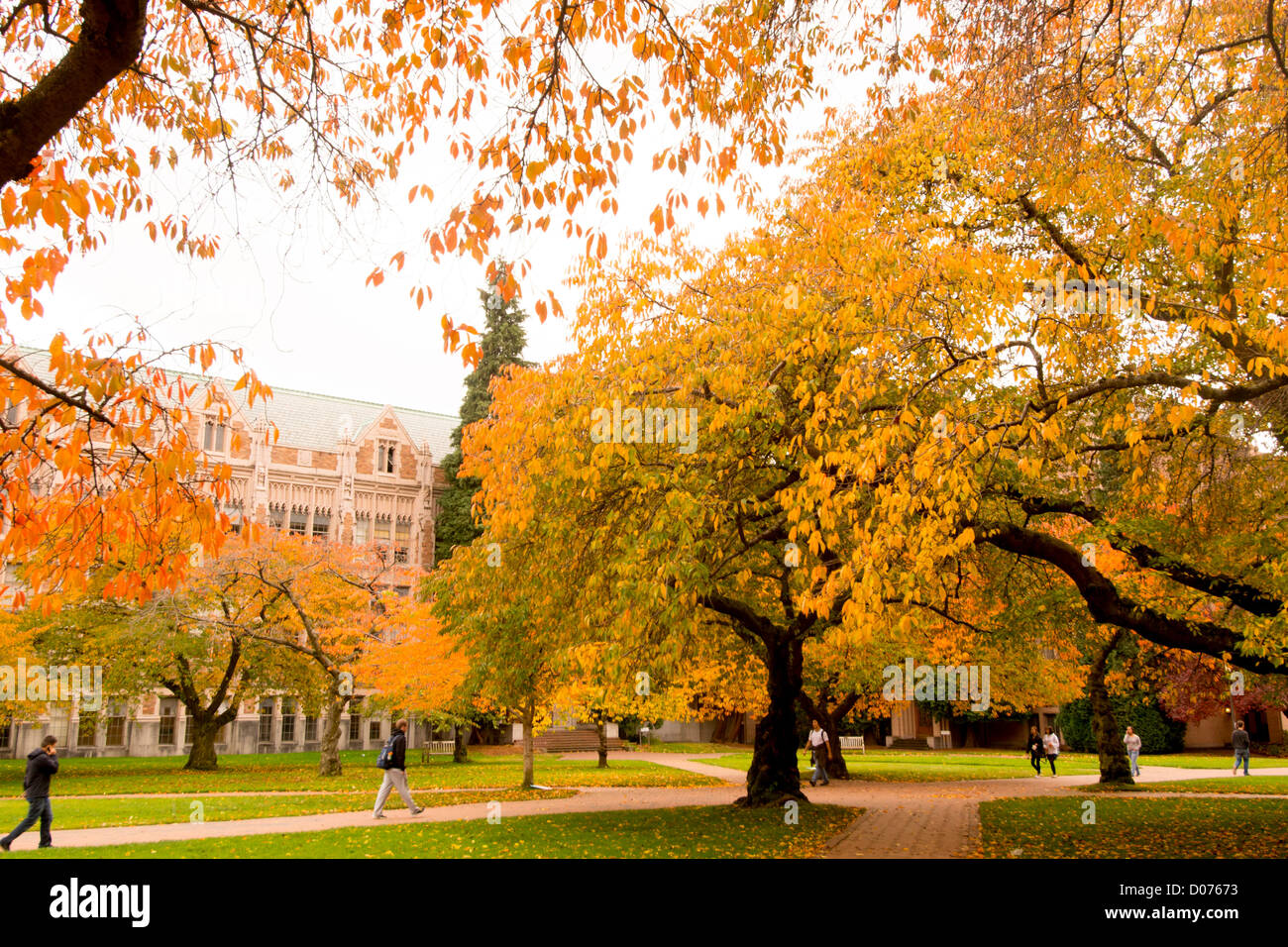 University Of Washington Campus High Resolution Stock Photography and