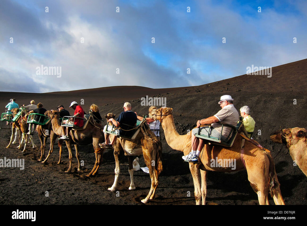 Camel safari of the volcanic landscape of Lanzarote, Canary Islands Stock Photo