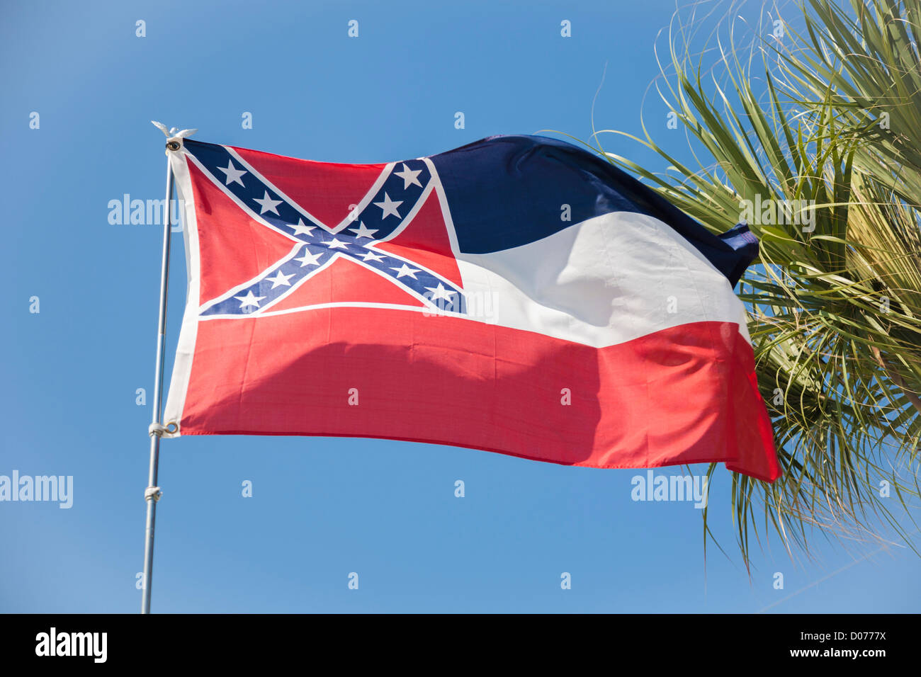 Flag of the state of Mississippi flying near palm tree Stock Photo