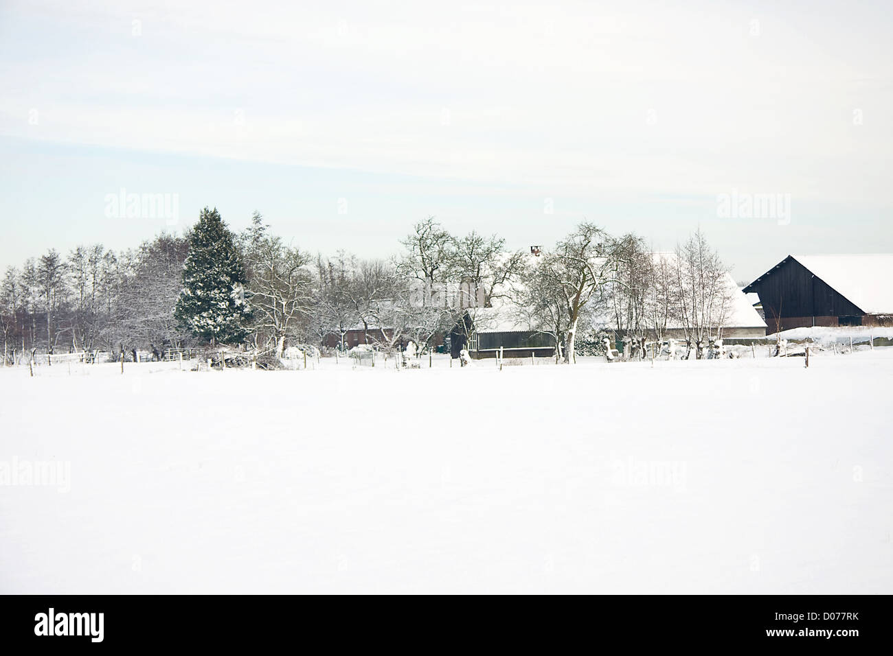 Landscape with Dutch farm in the snow it's winter time Stock Photo - Alamy