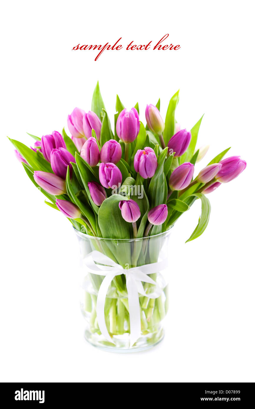 Pink tulips on white background (with sample text Stock Photo - Alamy